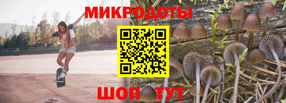 Галлюциногенные грибы мухоморы Сочи