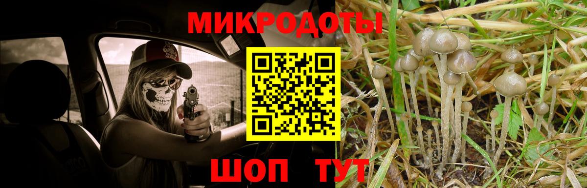 Сочи  Псилоцибиновые грибы Psilocybine cubensis  купить закладку  Вход с VPN  Псилоцибиновые грибы мухоморы 